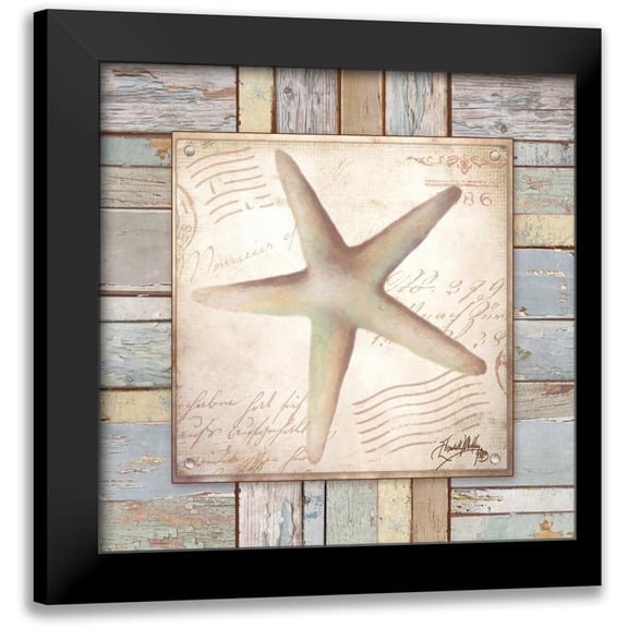 Medley, Elizabeth 12x12 Black Modern Framed Museum Art Print Titled - Beach Shell IV
