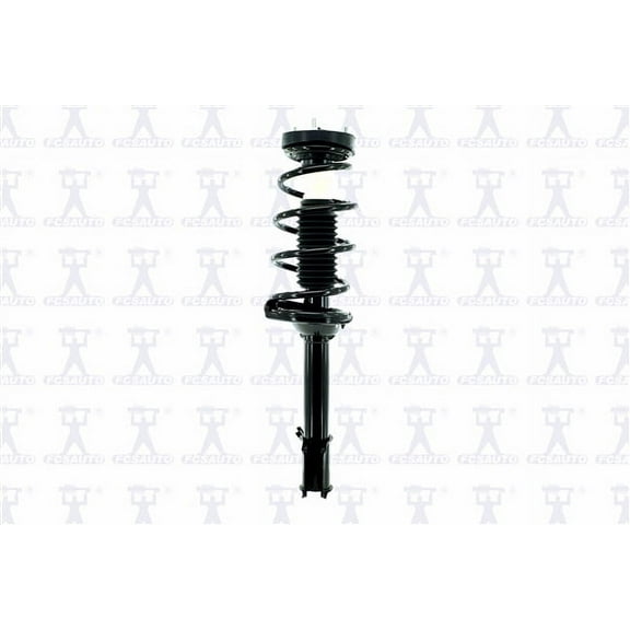 Suspension Strut and Coil Spring Assembly
