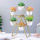 thumbnail image 4 of Soporte para plantas PETSOLA Maceta Estante para flores y 6 soportes móviles para macetas con ruedas dorado, 4 of 8