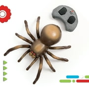 Discovery Kids RC Moving Tarantula Spider, Remote-Control Toy for Kids, Realistic Scurrying Movement, Glowing Scary Red LED Eyes