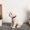 White, variant on Aqestyerly Children's Toys Simulated Teddy Dog Table Top Indoor Decoration Jewelry Automobile Teddy Decoration