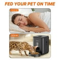 thumbnail image 5 of DR31 Smart Automatic Cat Feeder – Wi-Fi App Control, Portion Control, 2L Capacity, Programmable Pet Food Dispenser for Cats & Small Dogs – Easy to Clean, Black, 5 of 8