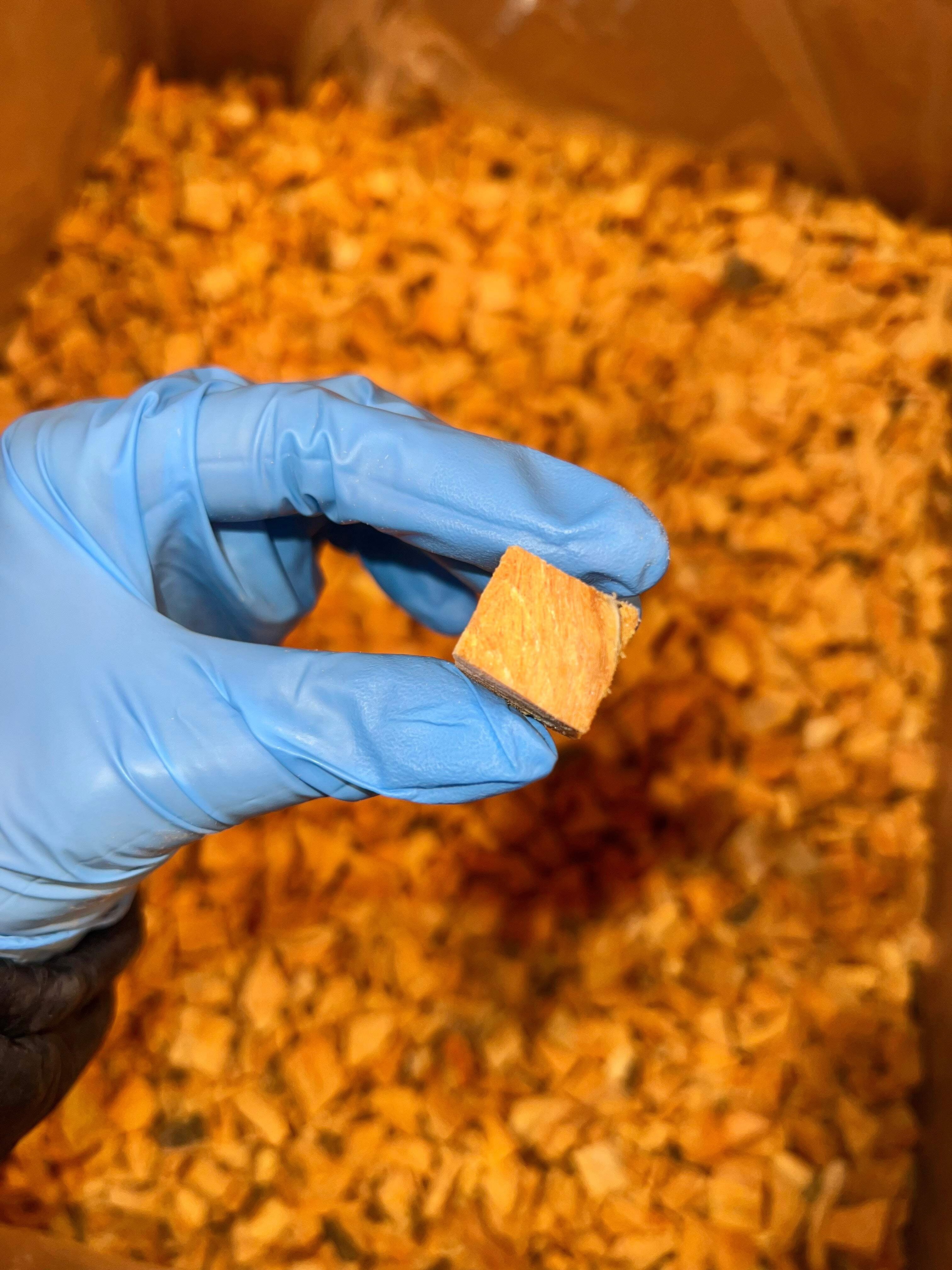 Pet Popcorn: Freeze-Dried Raw Treats - Salmon - 2.5oz Bag, Dog & Cat Snacks, Single Ingredient, Natural, Pet Food Topper-Reward, Protein‑Packed Fish