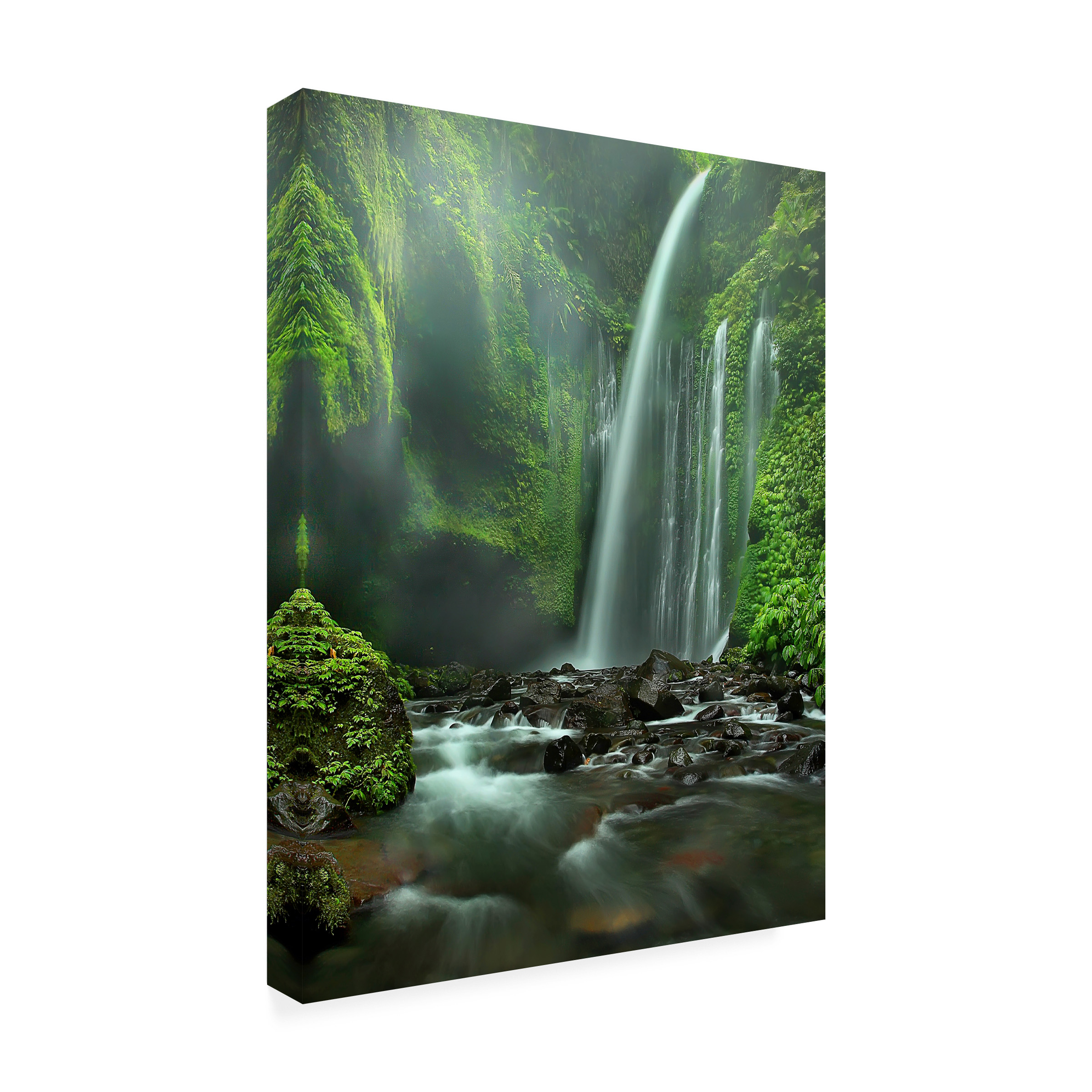 Adhi Prayoga 'Tiu Kelep' Canvas Art