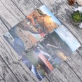 thumbnail image 3 of Hytrove 15Ud En Papel Resistente Para Coleccionistas Y Regalos, 3 of 7