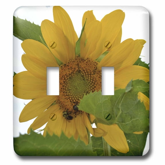 3dRose, Bees on a Sunflower, double toggle switch