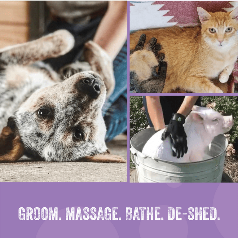 H HANDSON Pet Grooming Gloves - Patented #1 Ranked, Award Winning Shedding,  Bathing, & Hair Remover Gloves - Gentle Brush for Cats, Dogs, and Horses