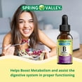 Spring Valley Vitamin B Complex Dietary Supplement with B12, Berry Flavor, 2 fl oz