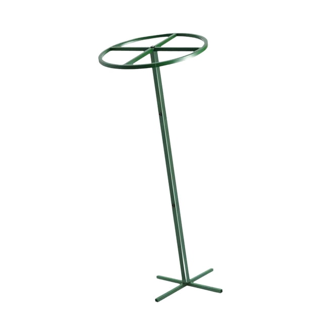 Soporte metálico para enrejado de pitahaya, accesorios resistentes, jaula de soporte para plantas, estante para plantas trepadoras de jardín y