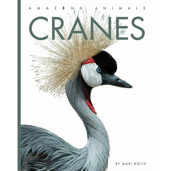 Amazing Animals Cranes, (Hardcover)