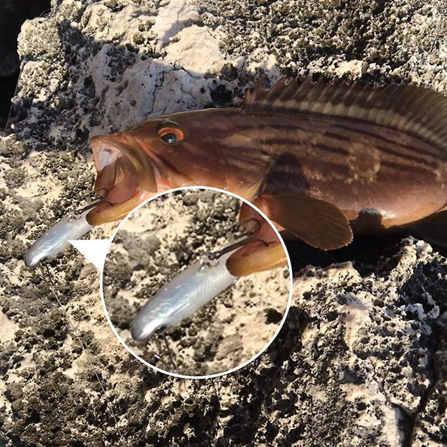 Señuelos de pesca blandos con anzuelo que se hunden Swimbaits (paquete de 5)