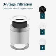 (3 pack) Levoit Core Mini-P 255 Sq Ft 3-Stage Filtration Desktop Air Purifier with Aromatherapy for Small Bedrooms and Nurseries, Gray