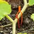 thumbnail image 4 of HONMEET 400-Piece Reusable Plastic Plant Vine Support Clips, Assorted Gardening Press Clamps for Plant, 4 of 8