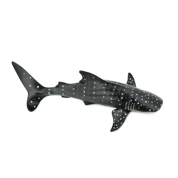 Whale Shark, Museum Quality, Hand Painted, Rubber Fish, Educational, Realistic Hand Painted Figure, Lifelike Figurine, Replica, Gift, 12" CH378 BB142