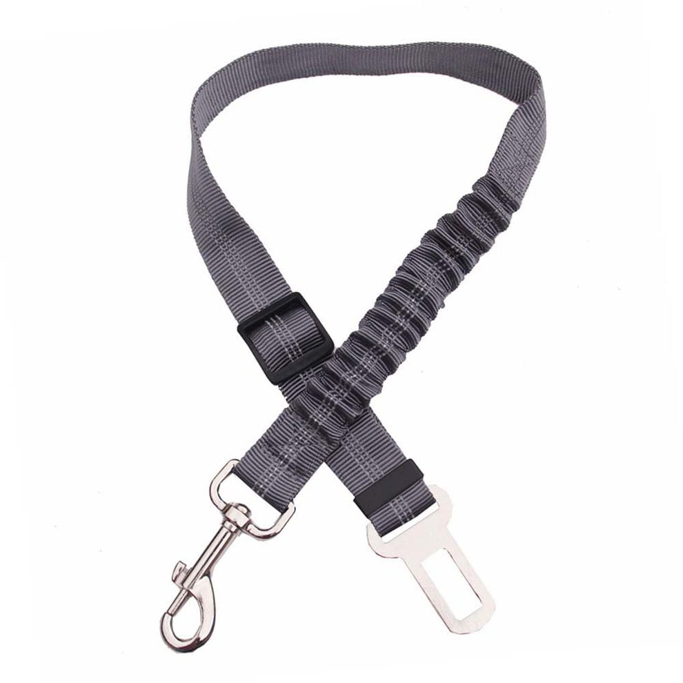 dog seat belt leash