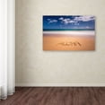 thumbnail image 3 of Pierre Leclerc 'Aloha' Canvas Art 16 x 24, 3 of 3
