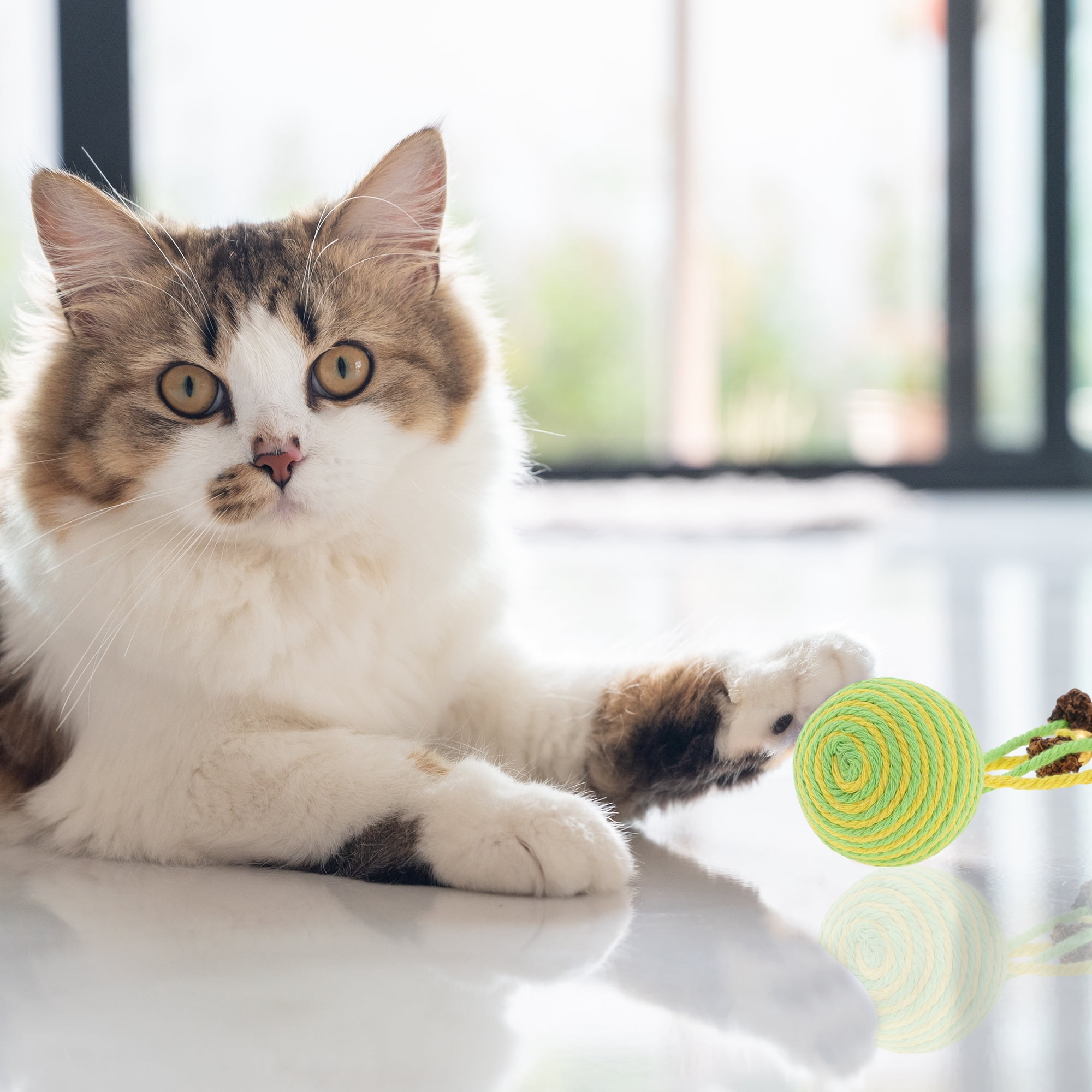 Unique Bargains Safe Teeth Cleaning Chew Balls for Cat [Gall Fruit Combination]