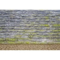 thumbnail image 2 of ABPHOTO 7x5t Photography Backdrop Brick Walls with Green Moss Stone Floor Photo Background Backdrops, 2 of 4