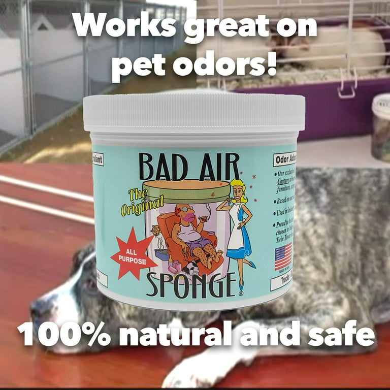Bad Air Sponge Air Odor Absorbent 2-Pack of 14 ounce (Eliminates Bad Smells)