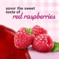 thumbnail image 6 of Smucker’s Seedless Red Raspberry Jam, 18 oz Jar, 6 of 11