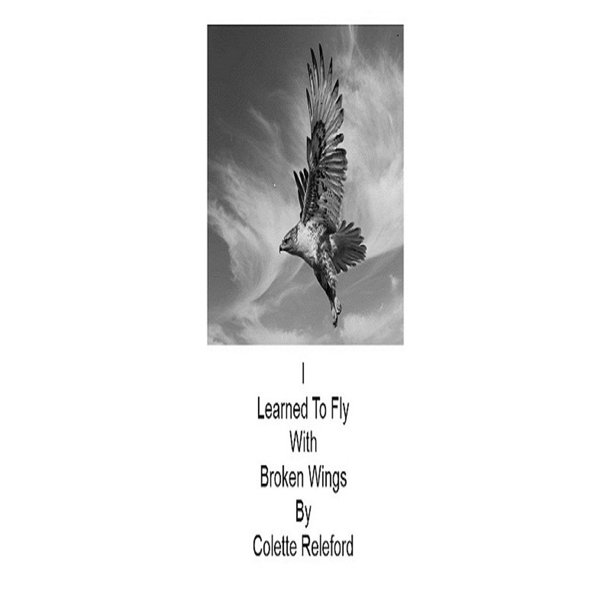 I Learned To Fly With Broken Wings eBook