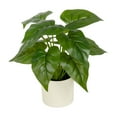 thumbnail image 3 of (3 pack) 10-inch x 4-inch Artificial Philodendron Leaf Plant in White Pot, Green, for Indoor Use, by Mainstays, 3 of 10