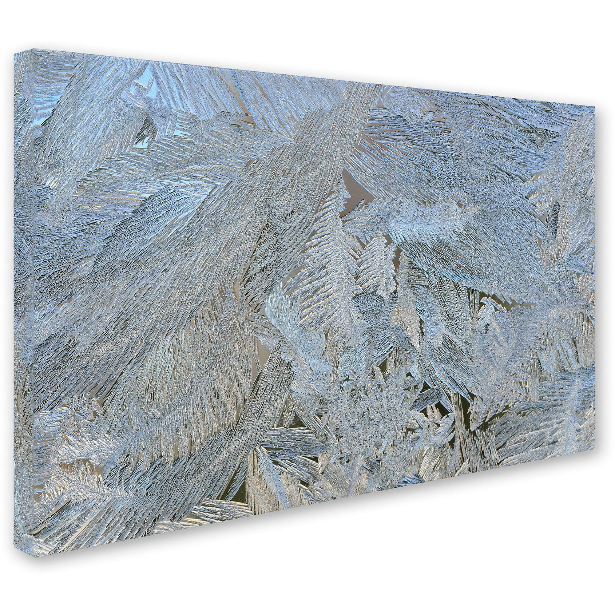 Trademark Fine Art "Frost Pattern #5" Canvas Art by Kurt Shaffer
