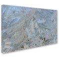 thumbnail image 3 of Trademark Fine Art "Frost Pattern #5" Canvas Art by Kurt Shaffer, 3 of 3