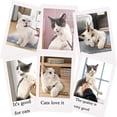 thumbnail image 4 of 6pcs Catnip Lollipop Catnip Chewing Toy Cleaning Teeth Molar Tool Chewing Stick, 4 of 5
