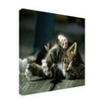 thumbnail image 2 of R. NOB 'Cat Yoga V' Canvas Art, 2 of 3