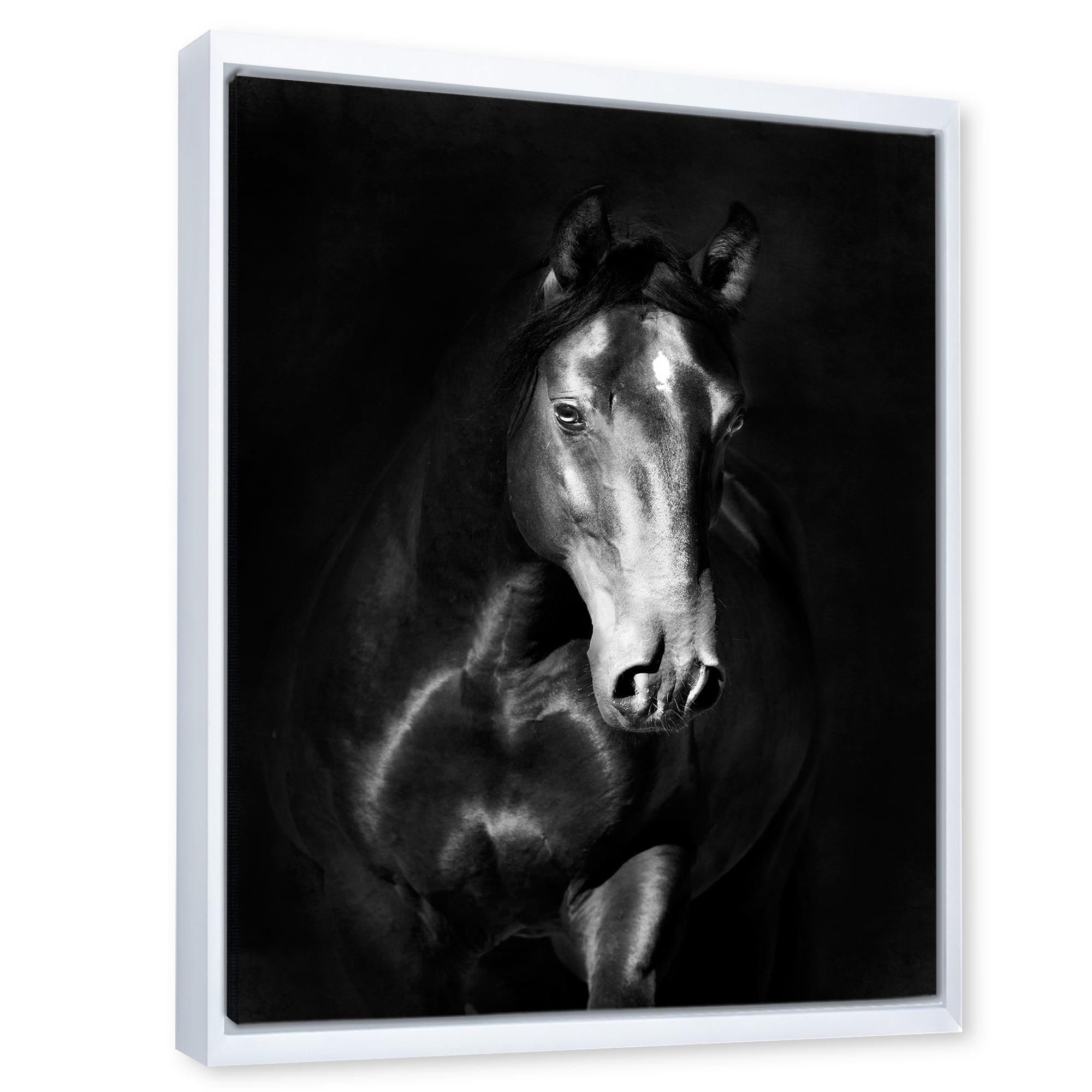 Designart 'Close Up Portrait Of Black Kladruby Horse' Farmhouse Framed Canvas Wall Art Print