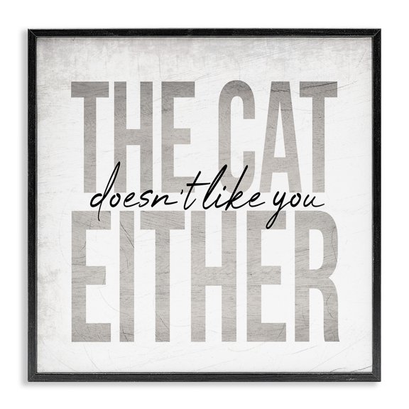 Stupell Industries Farmhouse The Cat Doesn't Like You Either Pet Phrase Black Framed Giclee Art, 12 x 12, by Lil' Rue