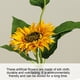 thumbnail image 3 of Plantas verdes artificiales, plantas en macetas con girasoles, flores de paisaje, muebles para el hogar, flores artificiales en macetas, 3 of 5