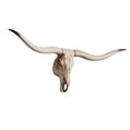 thumbnail image 3 of Long Horned Decor Skull Halloween Decoration Wall Decor Skull Decor Skull Figurines Crafts Head For Holiday Bedroom .5x32x12cm, 3 of 8