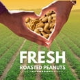 thumbnail image 6 of We Got Nuts Jumbo Blanched Roasted Unsalted Peanuts, Kosher, 5 lb, 80 oz, Resealable Bag, 6 of 6