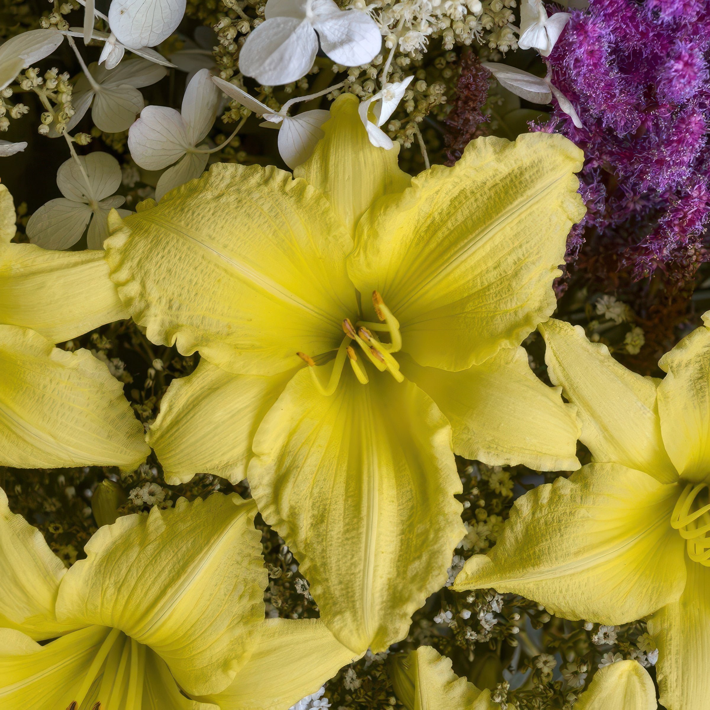 National Plant Network 1 gal. Daylily Big Time Happy Perennial Plant (4-Pack)