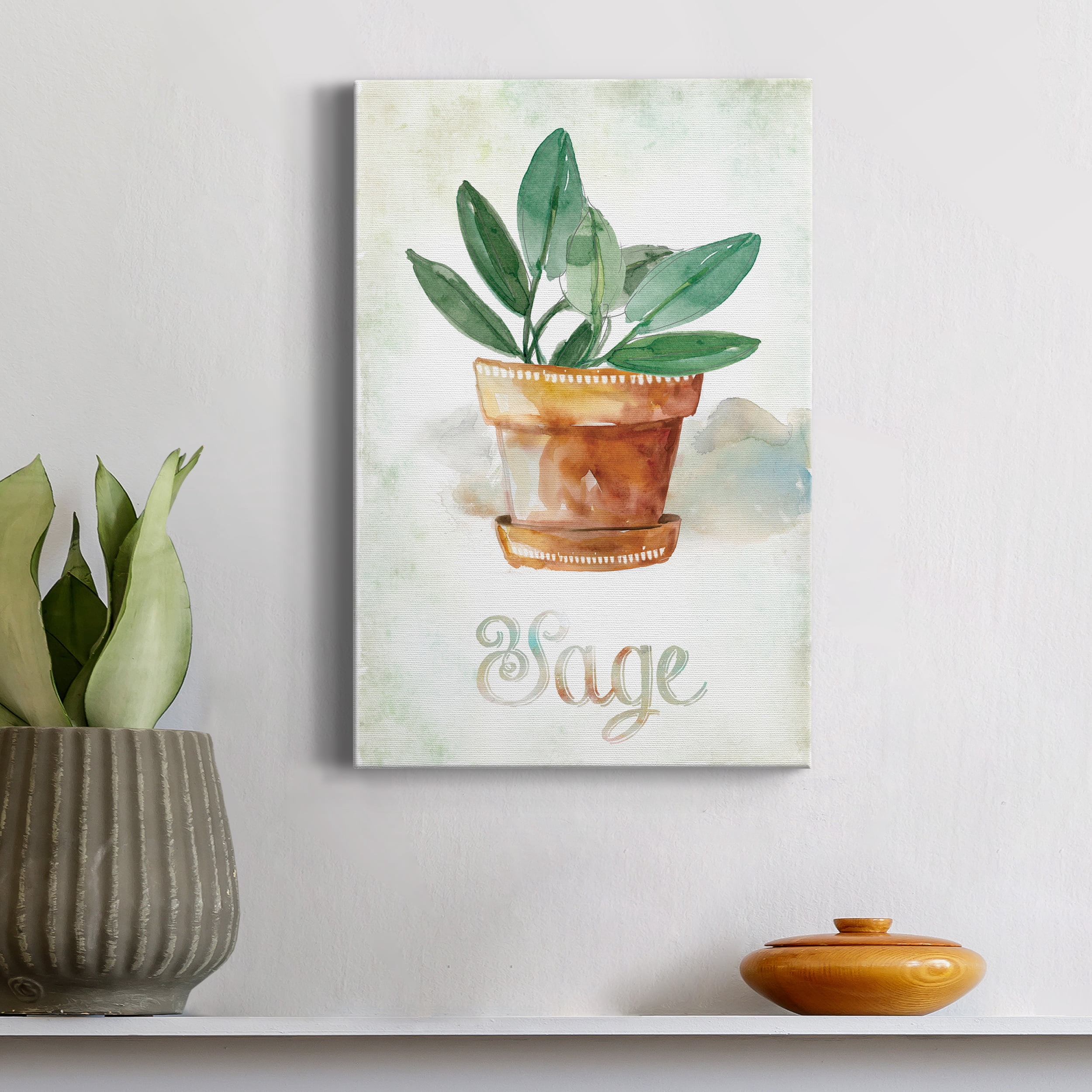 Potted Sage Premium Gallery Wrapped Canvas - Ready to Hang - 40 x 60