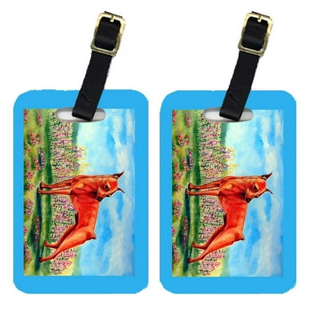 Pair of 2 Min Pin Luggage Tags