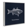 thumbnail image 3 of Stupell Industries Vineyard Stripers Fish Animals Painting Gray Framed Art Print Wall Art, 20 x 16, 3 of 8