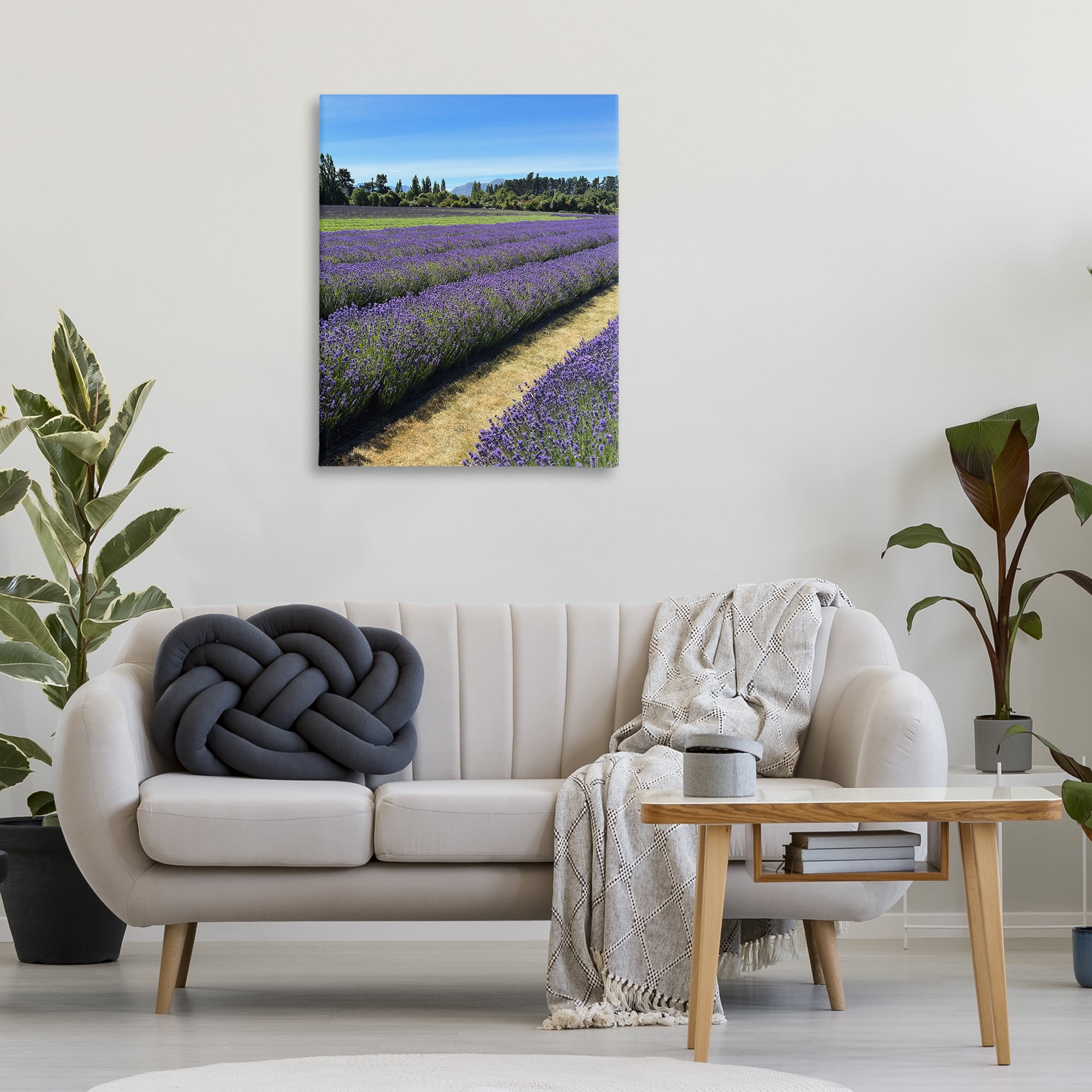 Stupell Industries Lavender Path Landscape Landscape Photography Gallery Wrapped Canvas Art Print Wall Art, 30 x 40