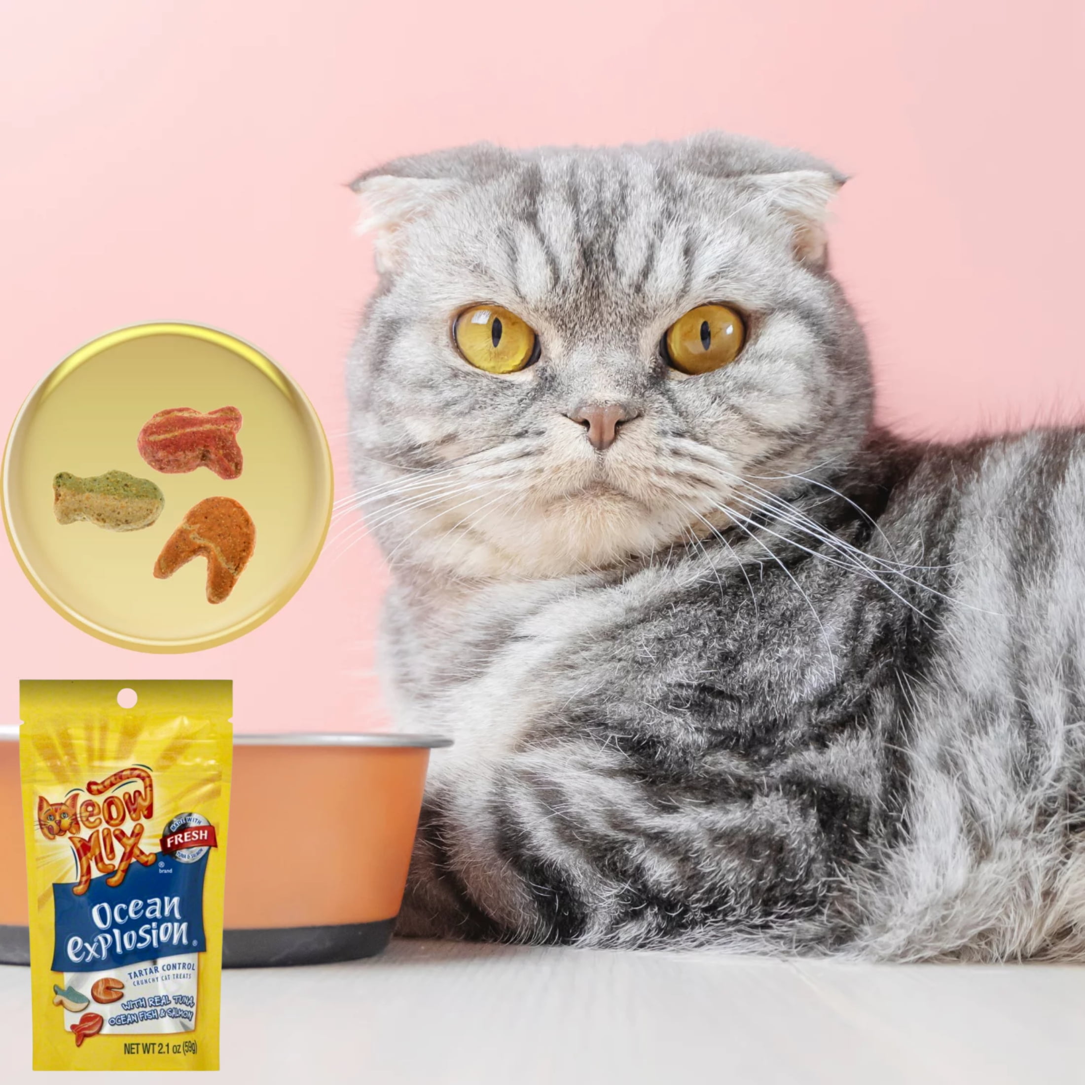 Meow mix ocean store explosion cat treats