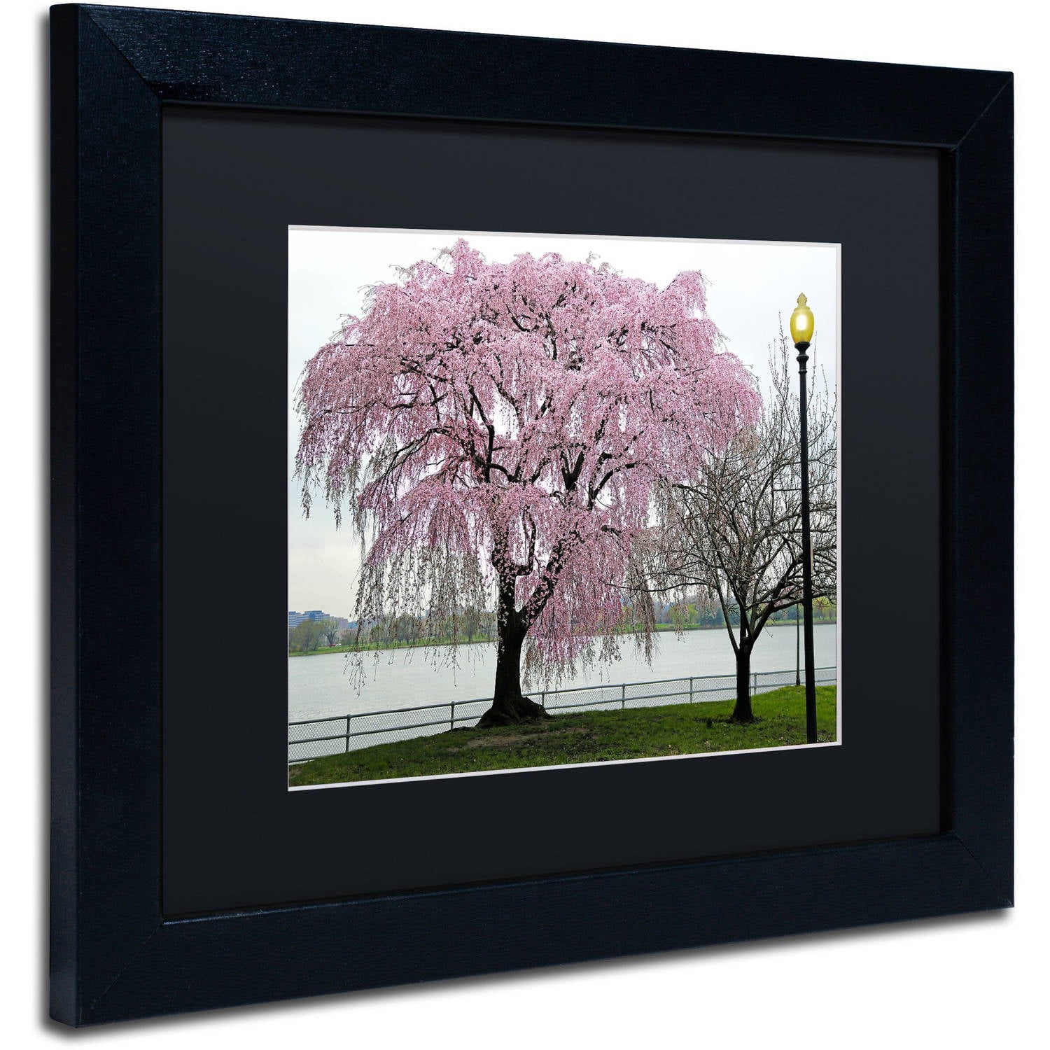 Trademark Fine Art "Cherry Tree" Canvas Art by CATeyes, Black Matte, Black Frame