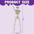 thumbnail image 4 of Esqueletos colgantes de Halloween JOYIN, 16 cm, decoración posable, 2 unidades, 4 of 7