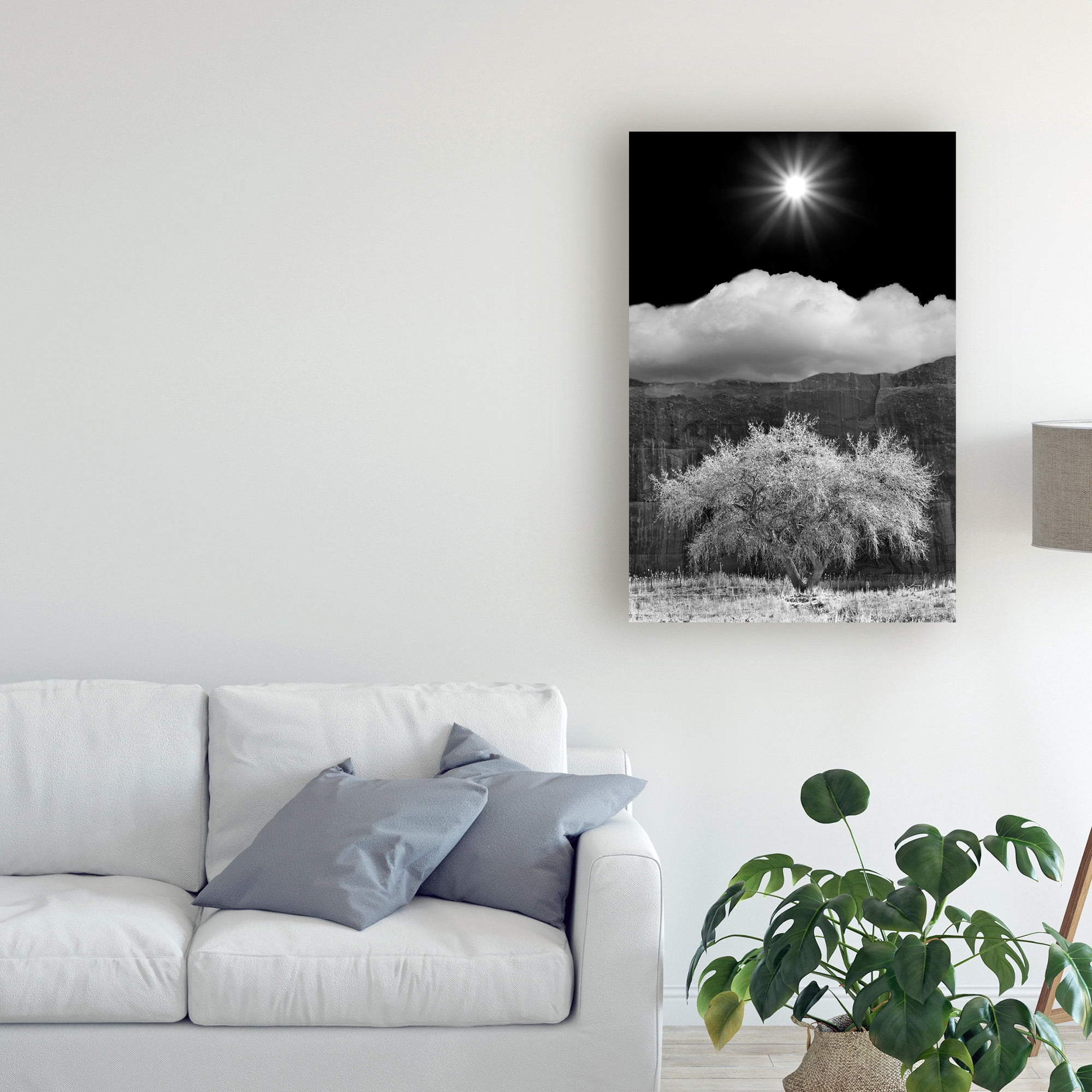 Trademark Fine Art 'Cottonwood And Sunbeams Canyon De Chelly Arizona' Canvas Art by Monte Nagler