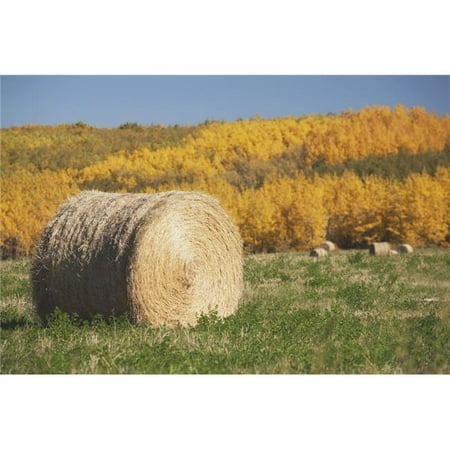 Hay Bale With Autumn Colors Alberta Canada Poster Print 44 19 X 12 Walmart Canada