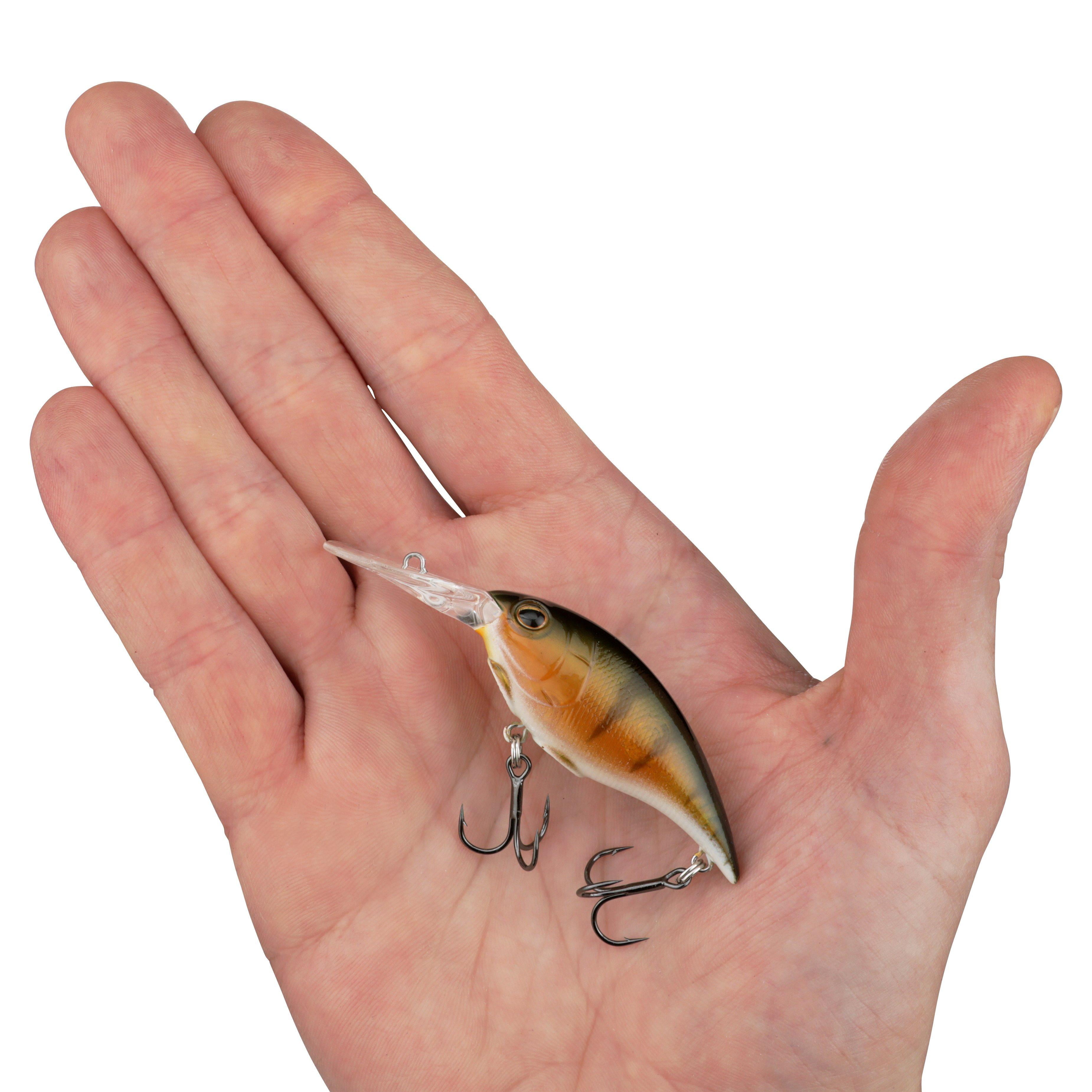 Berkley Money Badger, 5, Perch