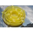 thumbnail image 1 of 6 Pcs/set Food Silicone Cover Universal Silicone Lids For Co, 1 of 5