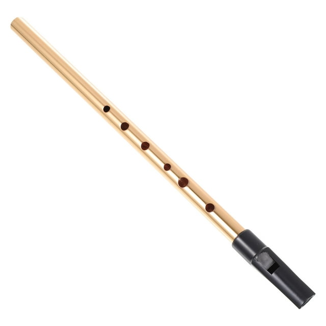 SEWACC 1 Pce Instrument Enregistreur en Bois Instrument de Musique Métal Doré Design 6 Trous