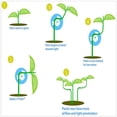 thumbnail image 3 of 60 Piezas 360 Grados Ajustable Clip para Doblar la Planta Dobladora de Plantas Entrenamiento Bajo Esfuerzo Soporte Curvo, 3 of 5