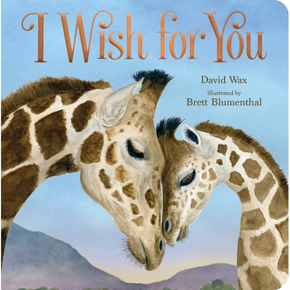 Pre-Owned I Wish for You (Board book) 1250293111 9781250293114